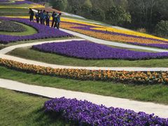 -南通洲际绿博园