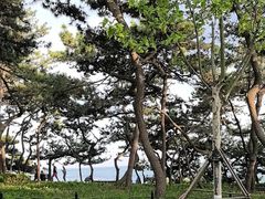 -青岛第二海水浴场