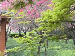 -木塔寺遗址生态公园