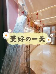 -英芬国际月子中心(岛屿度假月子·洲至奢选香岚店)