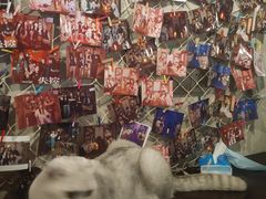 -Mr.Fox狐狸先生超级密室(南山店)