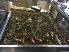 -上海怡沁园度假酒店
