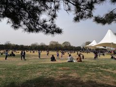 -石家庄市植物园