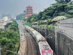 -黄鹤楼公园(黄鹤楼)