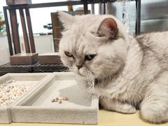 -Oasis绿洲银饰珍珠手作diy(壹方城店)