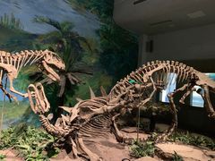 -自贡恐龙博物馆