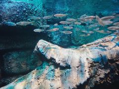 -沈阳海洋探索中心