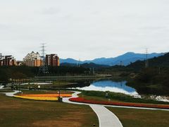 -艾米稻香小镇
