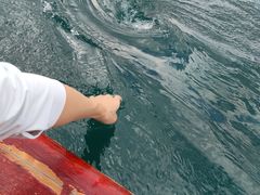 -丽江泸沽湖景区