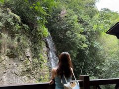 -莫干山风景区