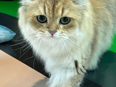 -茂业百货(东门店)