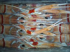 新西兰小龙虾-广州花园酒店-凌璇阁360度高空海鲜自助餐CAROUSEL