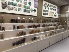 -北京中医药大学-中医药博物馆