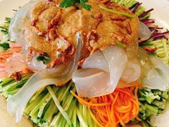 五彩大拉皮-宝发园名菜馆