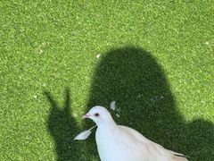 -唐山宴