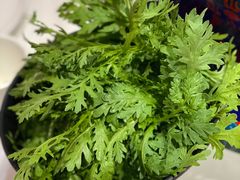 茼蒿-祥源胡同·涮牛羊肉火锅(花桥店)