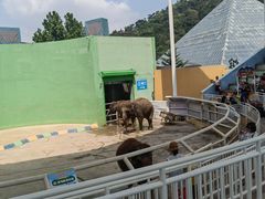 -大连森林动物园