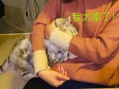 -平行世界·猫咖(首经贸店)