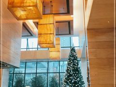 -上海龙之梦万丽酒店