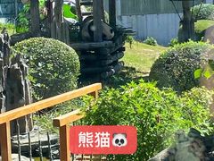 -大连森林动物园