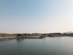 -溱湖国家湿地公园