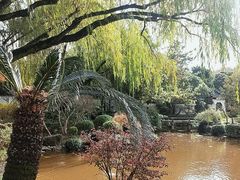 -秋霞圃