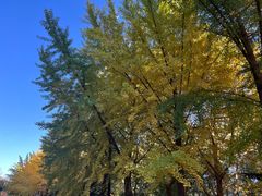 -元大都城垣遗址公园