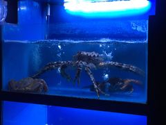 -月下料理(楷林IFC店)