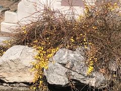 -丰台科技园生态主题公园