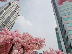 -城市露台景观餐厅(淮海路店)