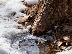 -陕西省红河谷森林公园