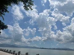 -深圳湾公园(南山区)