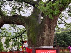 -新安江山水画廊风景区