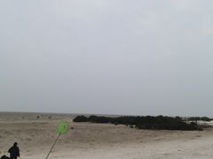 -红树林天天赶海