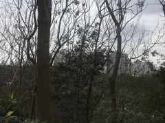 -重庆彩云湖湿地公园
