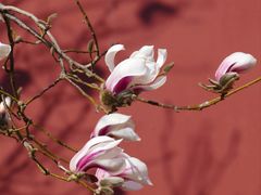 -东华门大街小区