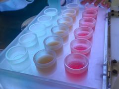 -Famous肥猫墨西哥音乐餐吧(五棵松华熙LIVE店)