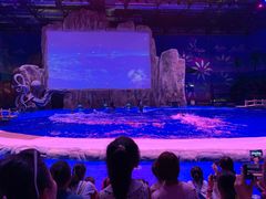 -华夏文旅海洋公园