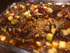 清江鱼-滋派烤鱼(金元宝于家堡店)