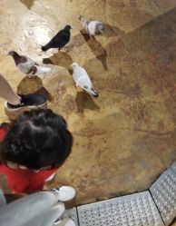 -萌宠亲子动物乐园(槐房万达店)