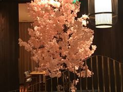 -提香日本料理