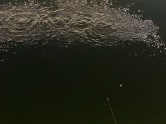 -DGE季风钓虾营地·团建·聚会
