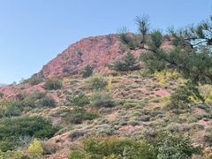 -红山国家森林公园