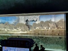 -成都浩海立方海洋公园