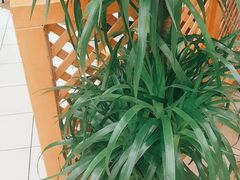 -德克士(汝河路店)