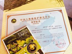 -都江堰中华大熊猫苑