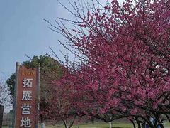 -贡湖湾湿地公园