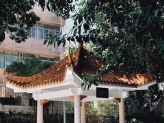 -人民公园(罗湖区)