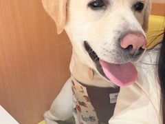 -海底捞火锅(凤凰广场店)