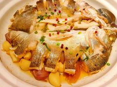 -单家老院·院子里的青岛菜(沙子口店)